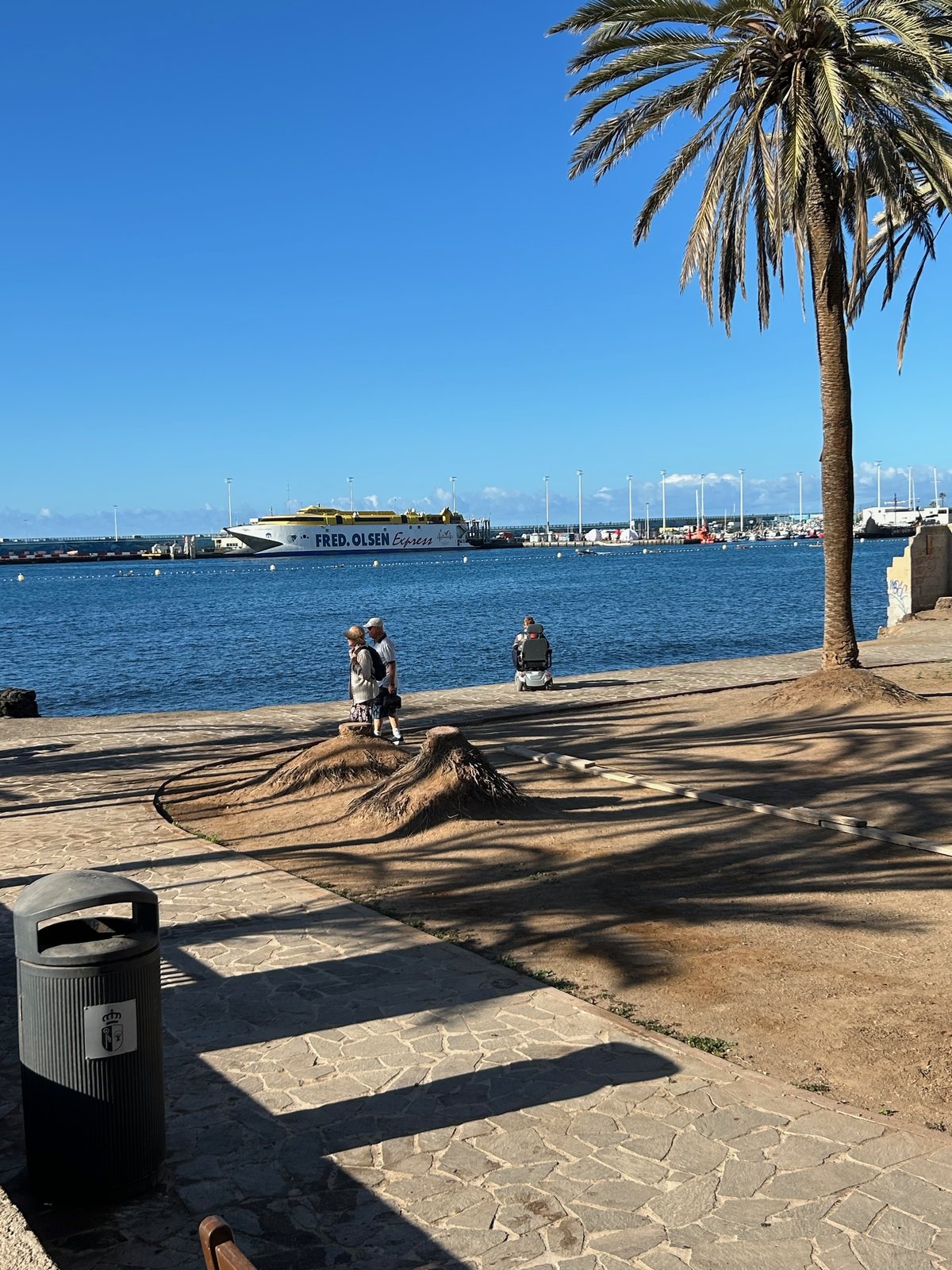 Palm trees and the sunny waterfront overlooking Los Cristianos harbour