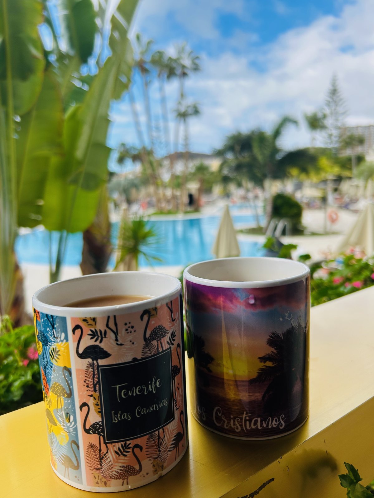 Two souvenir mugs on a ledge with the hotel pools and gardens beyond