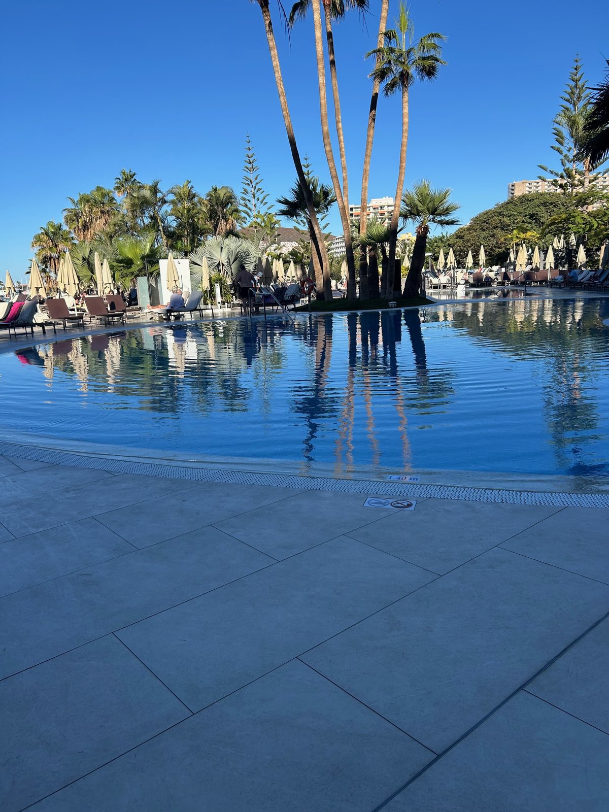 Palm trees reflected in the Arona Gran pool beneath a clear blue December sky