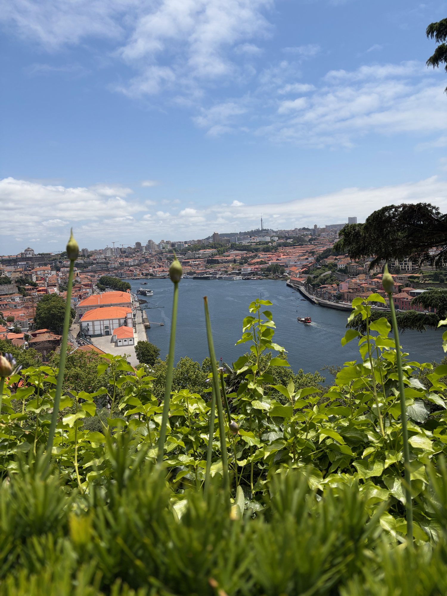 The River Douro and Porto rooftops seen from the Crystal Palace Gardens