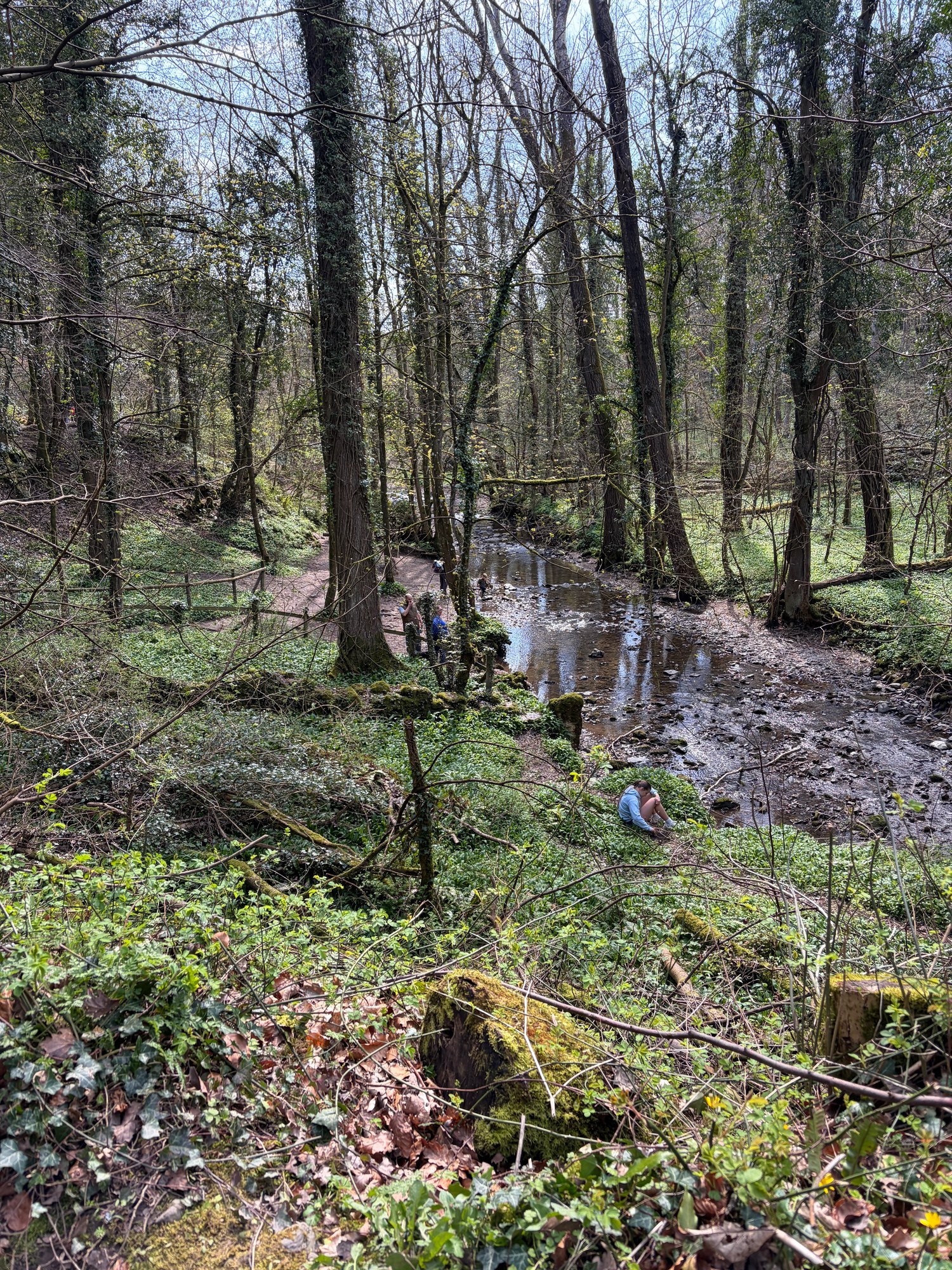 A wooded riverside path at Loggerheads Country Park